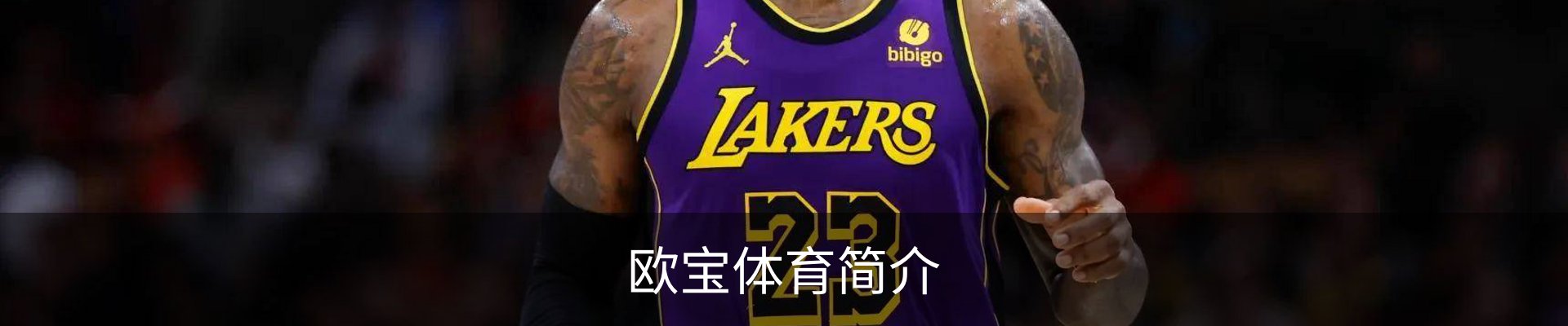 内页banner